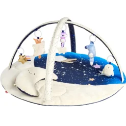 Activity Toys|Skip Hop Celestial Dreams Activity Gym