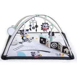 Activity Toys|Tiny Love Deluxe Gymini Activity Mat