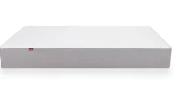 Mattresses|Mattresses|Monte Design Mattress - 8"