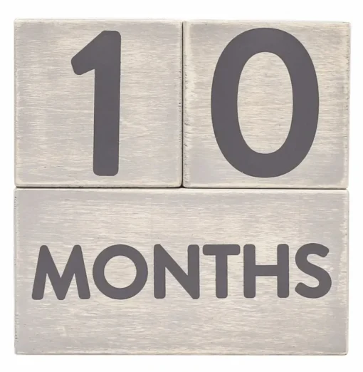 Milestones|Pearhead Milestone Blocks