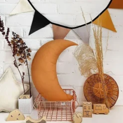 Pillows|The Butter Flying Moon Pillow