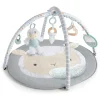 Activity Toys|Ingenuity Sheppys Spot Plush Activity Gym - Corrie