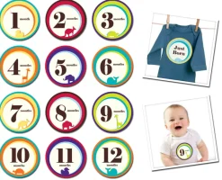 Milestones|Sticky Bellies - Wild one NB