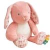 Plush Toys|Itzy Ritzy Sweetie Snuggles Plush Toy